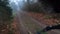 Riding a mountain bike on a muddy gravel path on a green foggy landscape