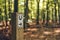 Riding path sign in the woods with directions