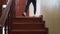 Riding on railings wooden staircase in private house Guy slides on banister and drives down