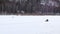 Riding on snowmobile on the frozen river. Snowbike rider moving on the frozen river. Extreme winter activities. Man ridind snowtru