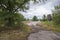 Riding trail through bedrock surfaces of Torrance Barrens Conservation Area in ontario