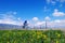 Riding in Xinjiang Tianshan grassland