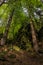 Rieger Trail, Bohemian Paradise, Cesky Raj, Czech Republic