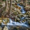 Riera de Sant MarÃ§al creek cascades