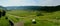 Riesling Vineyard on Mosel Trier, Germany