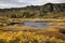 Rift valley at Pingvellir in Iceland