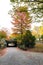 Riftstone Bridge in Central Park, New York, USA