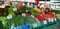 Riga Latvia market various vegetables