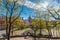 RIGA, LATVIA - MAY 06, 2017: View on pathways with blossom trees, bushes and walking people in The Park Bastion Hi