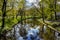 Riga river canal that flows through Bastion park Bastejkalns in springtime