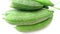 Rigde gourd luffa green fruits close up