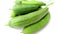 Rigde gourd luffa green fruits stock photo