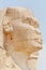 Right profile of the Sphinx of Giza.