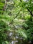 Rikugien Garden, Tokyo, Japan