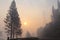 The Rim Fire In Yosemite ~ 2013 ~ Smoke & Trees