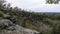 Rim of quarry at Ruffner Mountain Nature Preserve