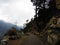 A riming lonely road at kinnaur india