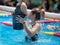 Rimini, Italy - may 2019: Girl Doing Water Exercises in Outdoor Swimming Pool Emptying a Bucket of Water on her  Head