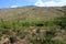 Rincon Mountains Sonora Desert Arizona