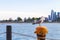 Ring-billed gull Larus delawarensis sitting on dock post with