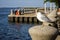 Ring-Billed Gull, a species of Seagulls, at the Lake Metropark along Lake Erie Coastline