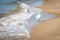 Ring-Billed Gulls, a species of Seagulls, on Oval Beach in Michigan