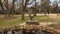 `Ring of Bright Water` by Kent Ullberg in the garden behind the National Cowboy and Western Heritage Museum in Oklahoma City.