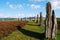 Ring of Brodgar