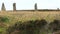 Ring of Brodgar located in Orkney, Scotland