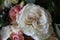 ring diamonds petals fresh rose bud wedding bouquet