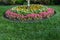 Ring of flowers around the base of a tree, lush green grass copy space