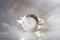 Ring with moon stone gemstone on pearl white background