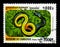 Ring-necked Snake Diadophis punctatus, Snakes of Cambodia serie, circa 1999