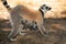 ring-tailed gray lemur in natural environment Madagascar.Close-up, cute primate