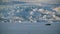 Ringed seal resting on an ice floe while Polar bear stalking behind