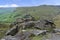 On Ringing Roger looking over valley to Grindslow Knoll