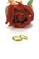 Rings and red rose blurred background. Romantic valentines