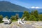 Rinihue lake and Mocho-Choshuenco national reserve as background, Chile