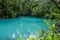 Rio Celeste blue acid water, Costa Rica