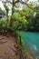 Rio celeste and lush rainforest