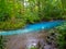 Rio Celeste, Tenorio volcano national park