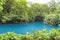 Rio Celeste, Tenorio Volcano National Park, Costa Rica