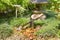 Rio de Janeiro, Brazil, Japanese corner in the Botanical garden. Japanese bamboo fountain.