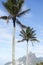 Rio de Janeiro Palm Trees Two Brothers Mountain Brazil