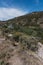 The Rio Grande Flows south near Taos in northern New Mexico.