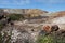 Rio Tinto coulorful  mountain landscape near Nerva in Spain