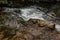 The Rio Verde River. This river originates in Quarto, between Abruzzo and Molise