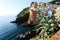 Riomaggiore on the coast of Cinque Terre. Italy.