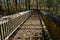 Riparian Forest Overlook trail boardwalk, yellow leaves of fall, Nisqually National Wildlife Refuge, Washington State