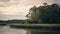 Riparian Rhapsody: Serenity Along the Marshland River